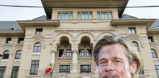 Gabriela Firea, către PNL: „Să-l invite pe Brad Pitt să candideze la Primăria Capitalei”